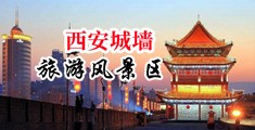 嗯啊嗯大鸡巴日逼视频中国陕西-西安城墙旅游风景区